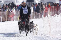 Lenk 2013